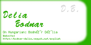 delia bodnar business card